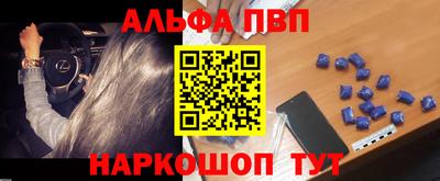 a pvp Кингисепп