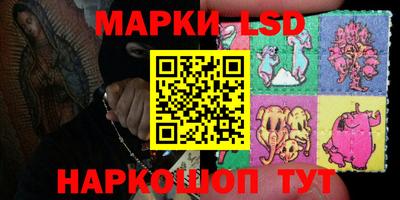 a pvp Кингисепп