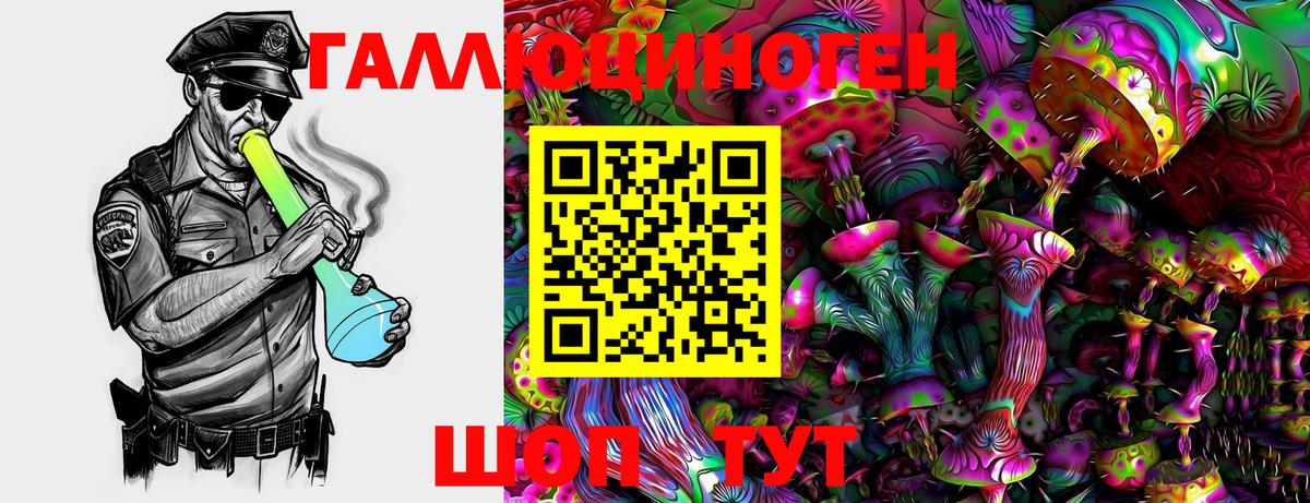Галлюциногенные грибы Psilocybine cubensis Югорск